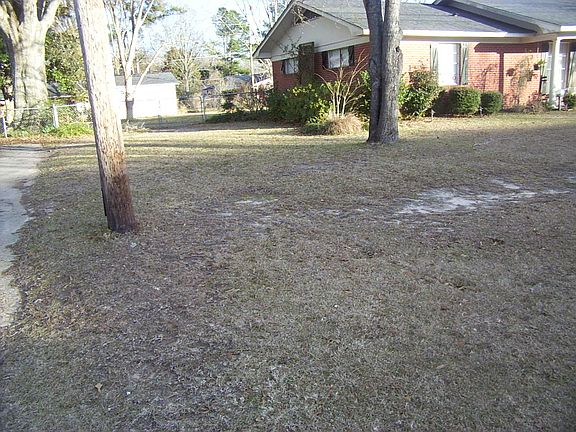 Side view of yard and house