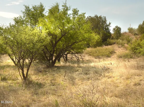 194 Tanglehead Ln Lot 23, Patagonia, AZ 85624