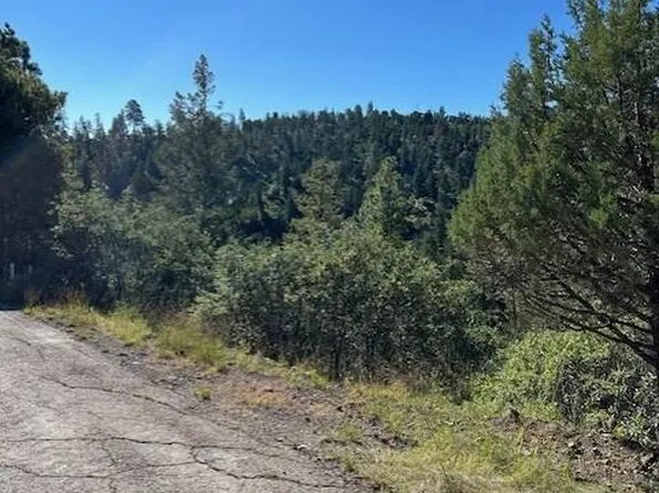 113 & 115 Westbury Dr, Ruidoso, NM 88345