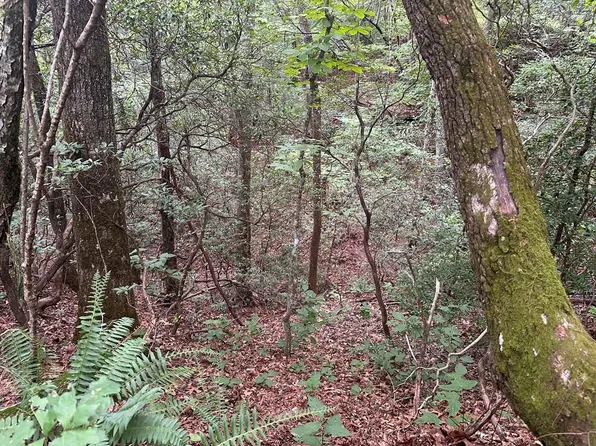 0 Davis Rd, Otto, NC 28763