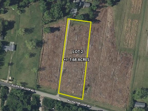 5th image of 413 Alligator Loop Rd Lot Wp002