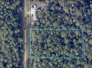 10530 Flikkema Ave, Hastings, FL 32145