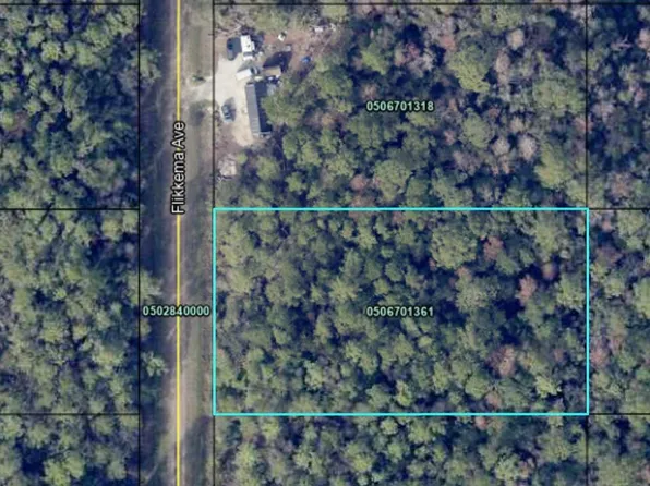 10530 Flikkema Ave, Hastings, FL 32145