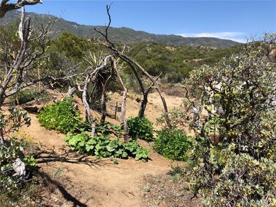 0 Sierra Vista Rd Lot 1, Anza, CA, 92539