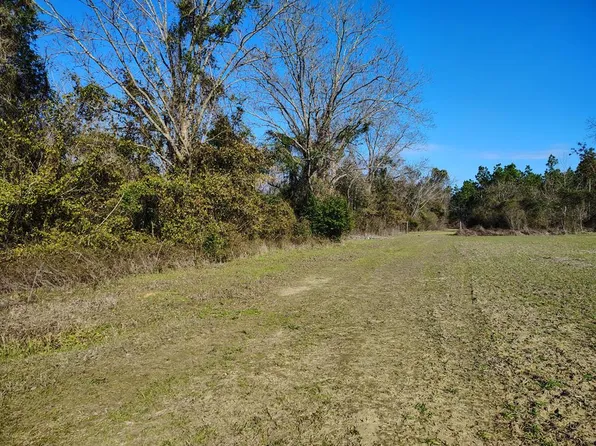 0 Guy Branch Rd, Cottonwood, AL 36320