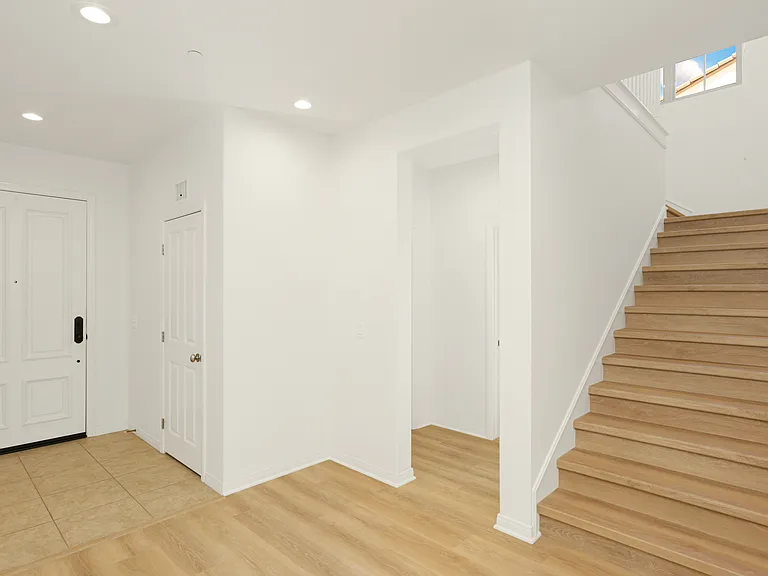 54 Lyndhurst — Photo 10