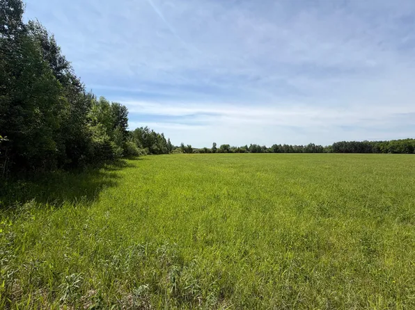 NULLB 180th St, Milaca, MN 56353