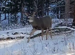 19100 Vista Dr, Buena Vista, CO 81211