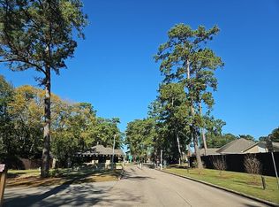 216 Lake View Cir, Montgomery, TX 77356