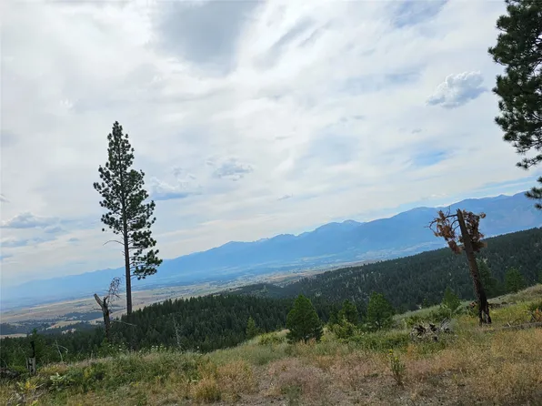 Nhn Antiquity Ln, Florence, MT 59833