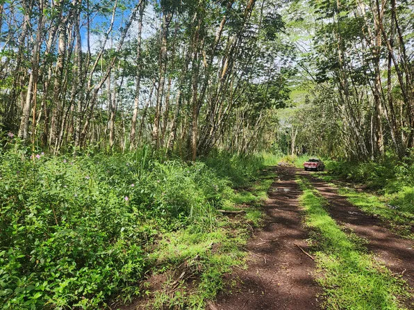 Molokai Rd Lot 1074, Pahoa, HI 96778