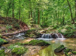 452 Blacks Mill Rd, Dawsonville, GA 30534