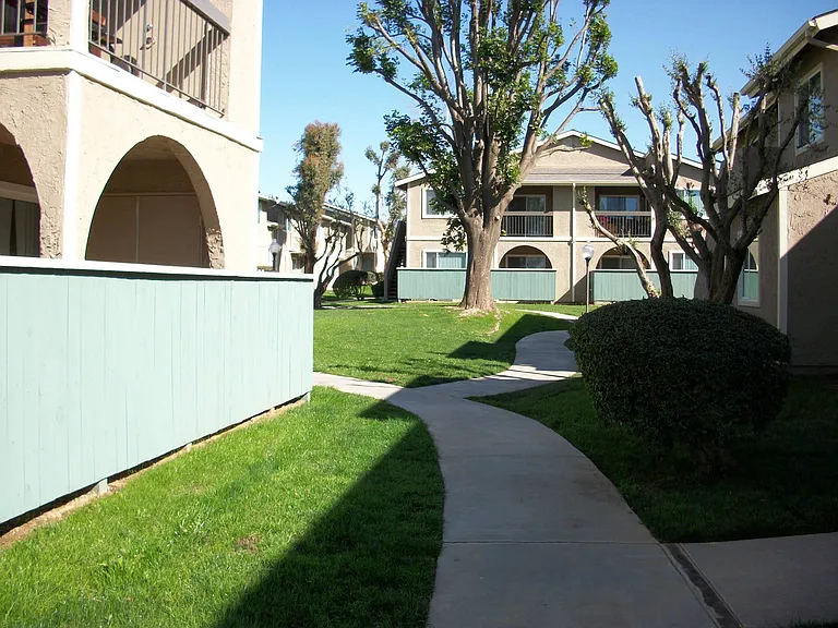 Mountain View — Photo 8