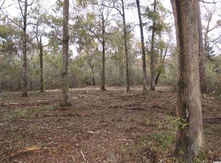 Arcadia Rd, Pawleys Island, SC 29585