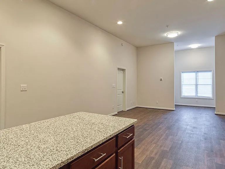 Luxury vinyl/wood plank floors & neutral carpet
