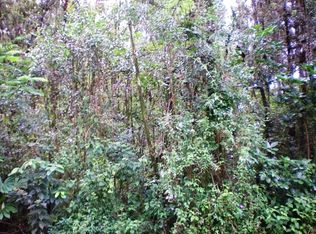 Road 1 Uhini Ana LOT 2313, Mountain View, HI 96771