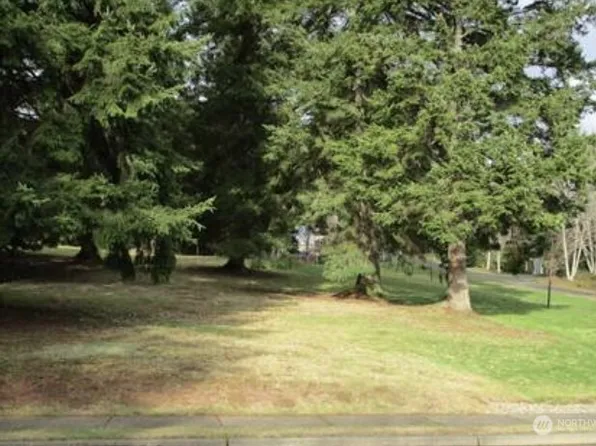 0 W McBryde Avenue, Montesano, WA 98563