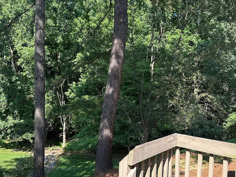 9307 Four Mile Creek Rd — Photo 21