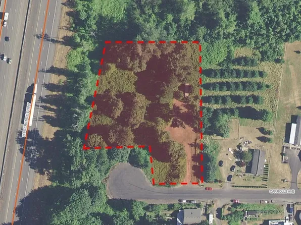 139 Carrolls Avenue, Carrolls, WA 98609