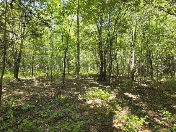 0 N Old Military Rd, Summertown, TN 38483