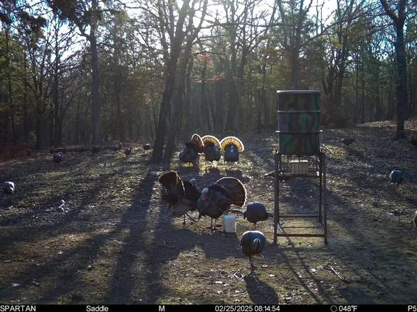 7144 E 141st Rd, Holdenville, OK 74848