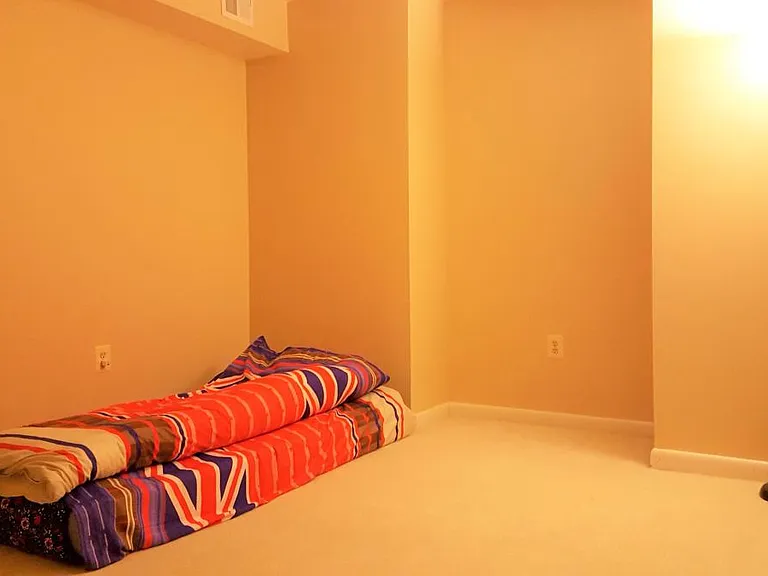 12520 Fanleaf Ct — Photo 17