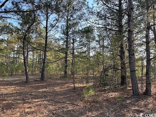 2nd image of TBD Lot 3 McNabb Shortcut Rd.