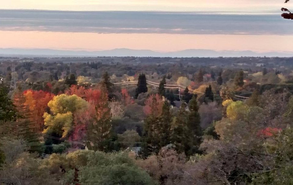 2nd image of 7825 Sierra Dr
