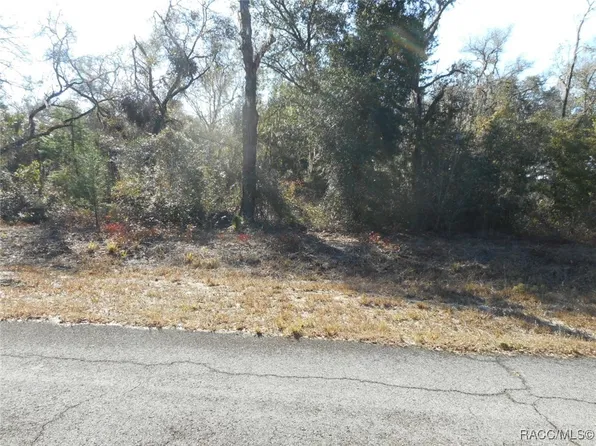 L-16 SW Sailboat Dr, Dunnellon, FL 34431