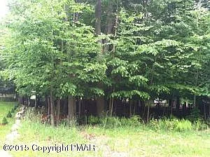 Country Pl photo 1