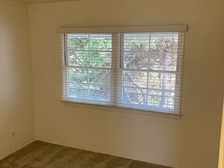 785TE — Photo 5