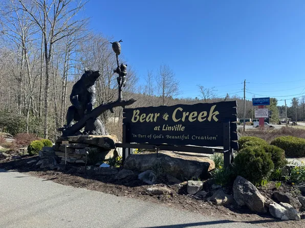 Black Bear Trl #26, Newland, NC 28657