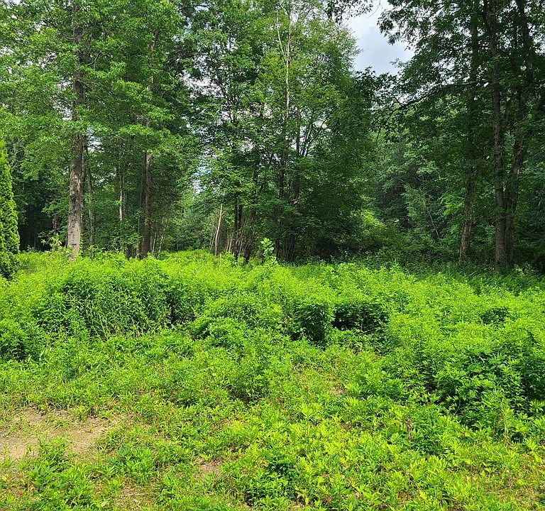 2nd image of LOT 1 Morgan St