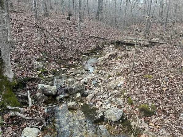 0 Private Road 9516, Fredericktown, MO 63645