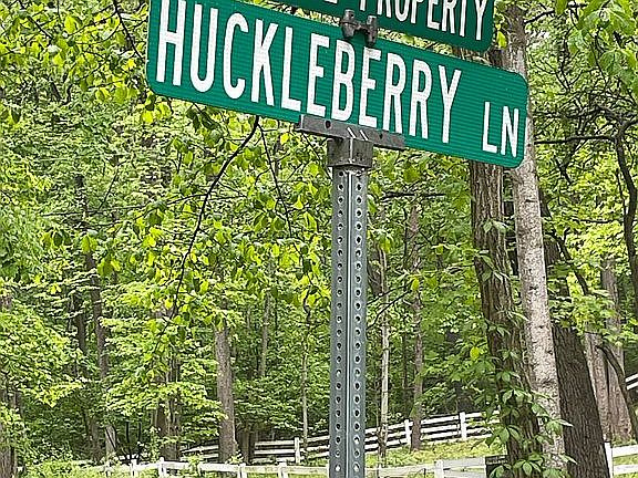 3rd image of Huckleberry Ln