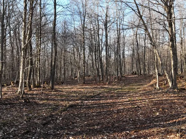 0 Jackson Rd, Redfield, NY 13437