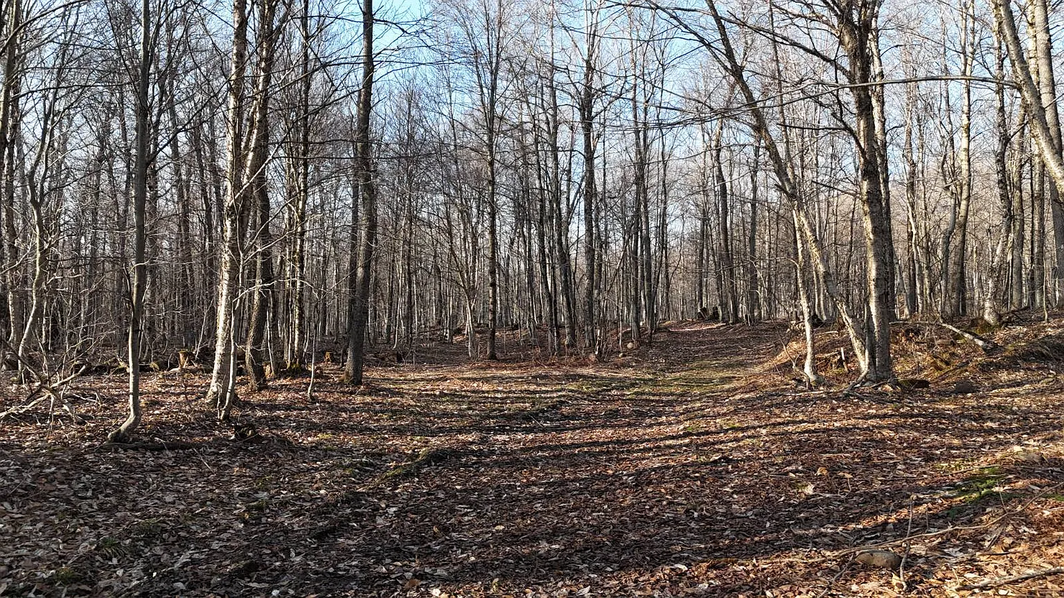0 Jackson Rd photo 1