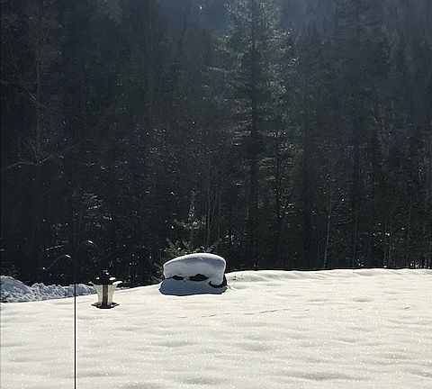 Awesome Burke Mountain views