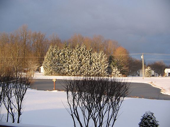 View from the front porch