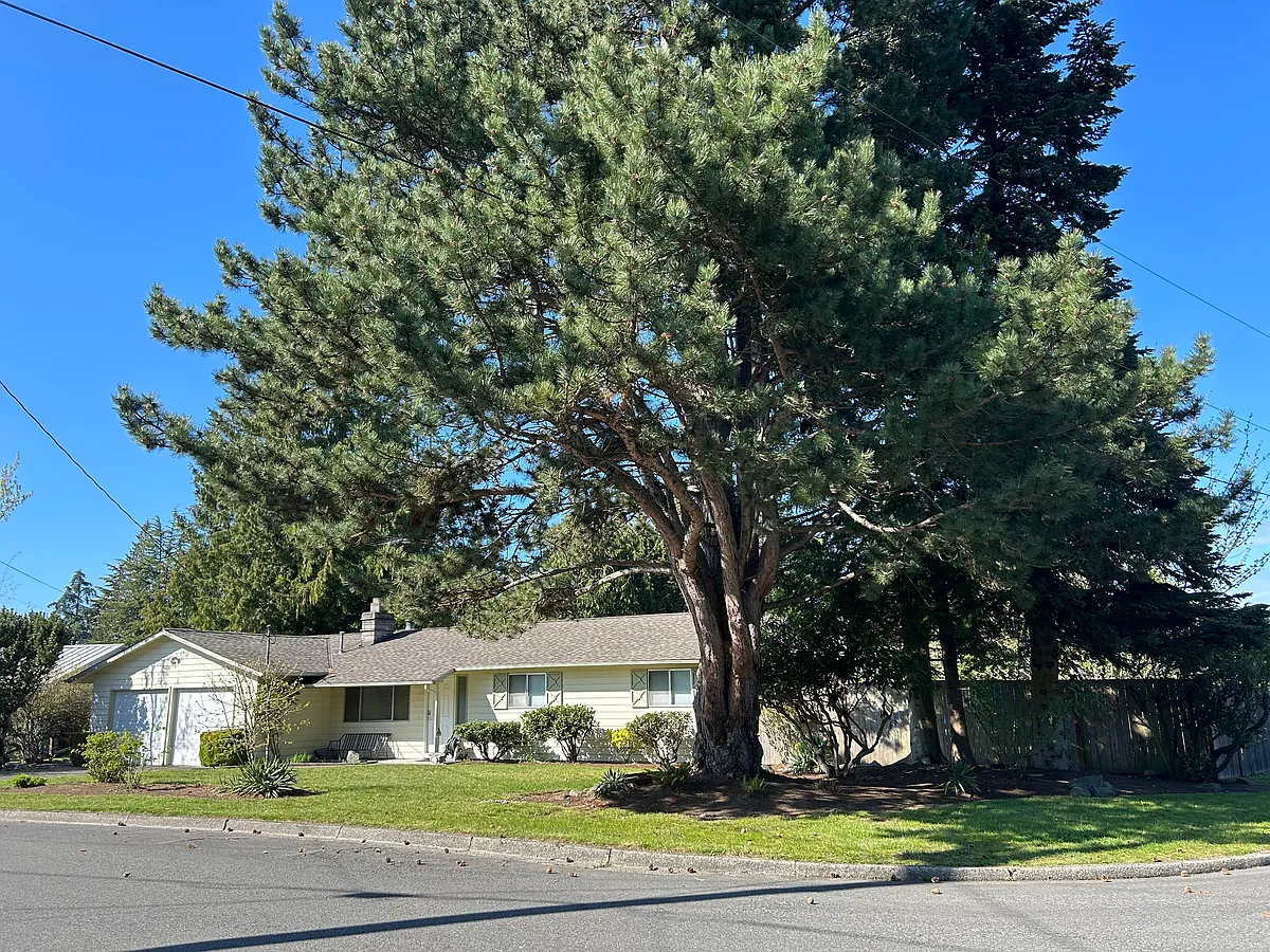 Building Photo - 12510 SE 73rd Pl