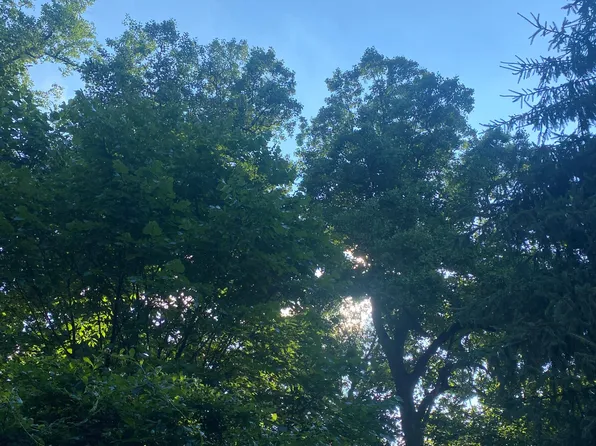 1805 N Rhodes St APT 250, Arlington, VA 22201