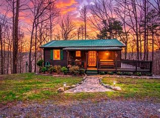 82 Dawgs Dr, Mineral Bluff, GA 30559