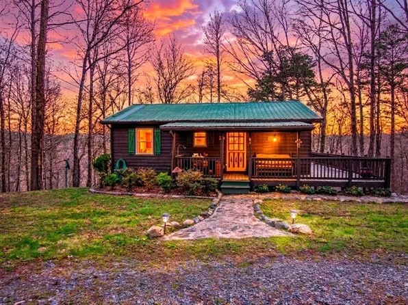 82 Dawgs Dr, Mineral Bluff, GA 30559