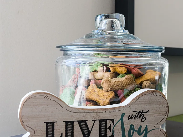 Pet Friendly Apartment Homes