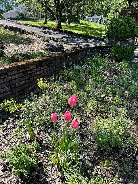 4011 Spring Mountain Rd — Photo 3