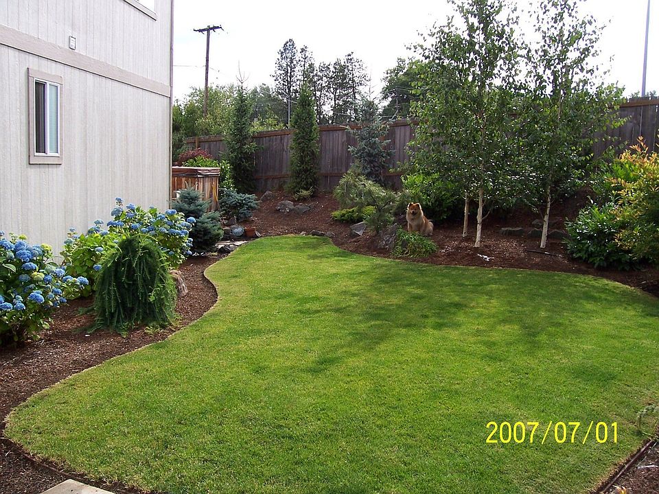 yard looking front to back