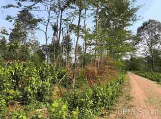 Fish Lake St, Champion, MI 49814