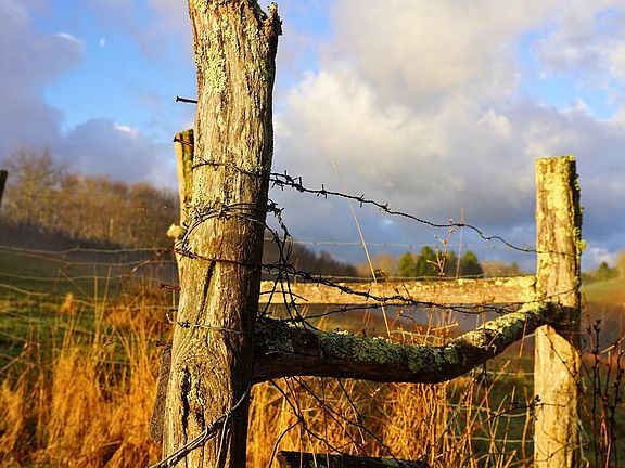 5th image of 892 Ward Branch Rd