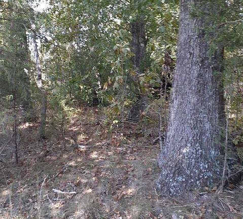 5th image of 14 Apple Ln