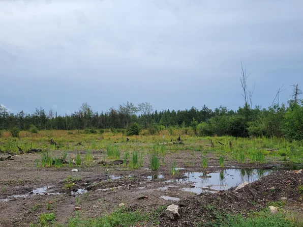 V/l 40ac Hamilton Rd, Alpena, MI 49707